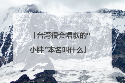 台湾很会唱歌的“小胖”本名叫什么