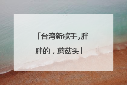 台湾新歌手,胖胖的,蘑菇头