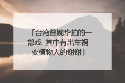 台湾曾婉华拍的一部戏 其中有出车祸变植物人的谢谢
