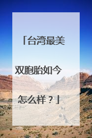 台湾最美双胞胎如今怎么样？