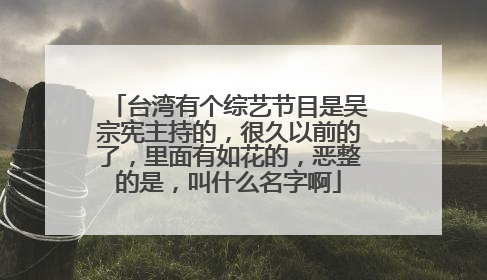 台湾有个综艺节目是吴宗宪主持的,很久以前的了,里面有如花的,恶整的是,叫什么名字啊