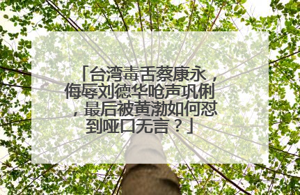 台湾毒舌蔡康永，侮辱刘德华呛声巩俐，最后被黄渤如何怼到哑口无言？