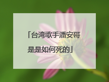 台湾歌手潘安哥是是如何死的