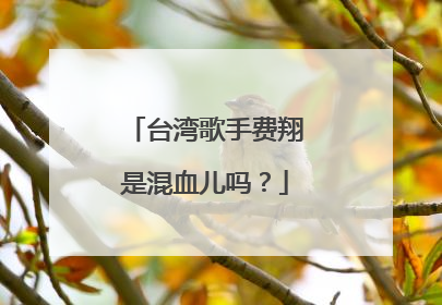 台湾歌手费翔是混血儿吗？