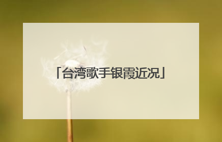 台湾歌手银霞近况