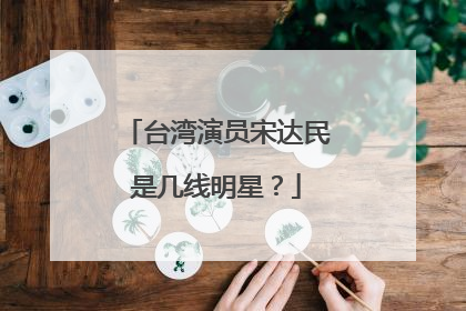 台湾演员宋达民是几线明星?