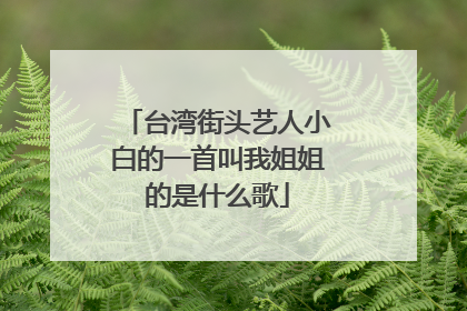 台湾街头艺人小白的一首叫我姐姐的是什么歌