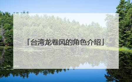 台湾龙卷风的角色介绍