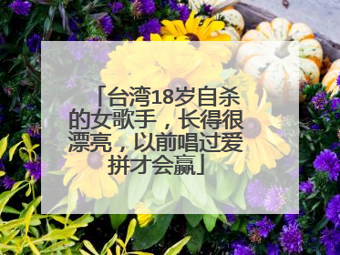 台湾18岁自杀的女歌手，长得很漂亮，以前唱过爱拼才会赢