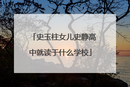 史玉柱女儿史静高中就读于什么学校