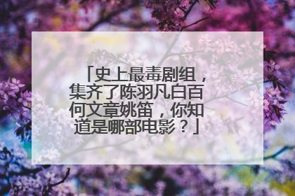 史上最毒剧组,集齐了陈羽凡白百何文章姚笛,你知道是哪部电影?