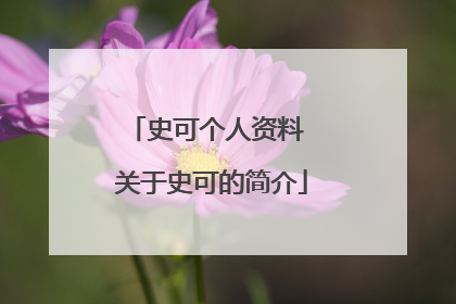 史可个人资料 关于史可的简介