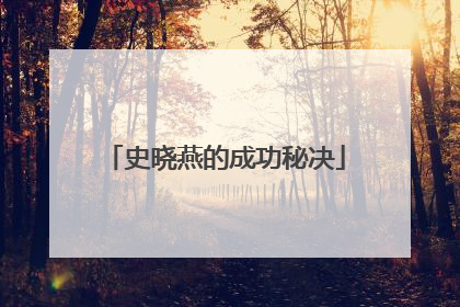 史晓燕的成功秘决