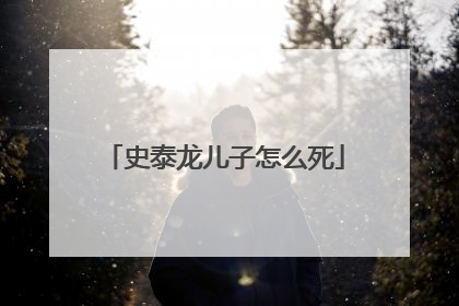 史泰龙儿子怎么死