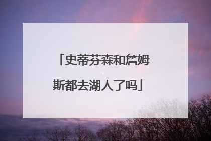 史蒂芬森和詹姆斯都去湖人了吗