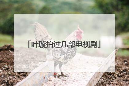 叶璇拍过几部电视剧