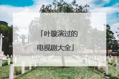 叶璇演过的电视剧大全