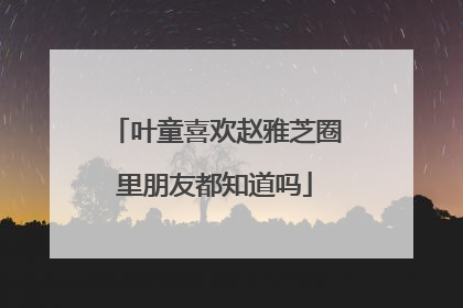 叶童喜欢赵雅芝圈里朋友都知道吗