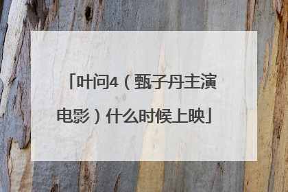 叶问4（甄子丹主演电影）什么时候上映