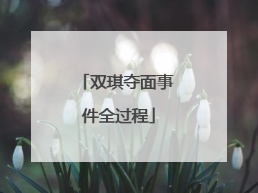 双琪夺面事件全过程