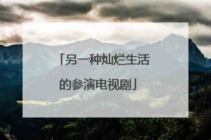 另一种灿烂生活的参演电视剧