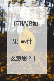 可惜没如果 mv什么意思?