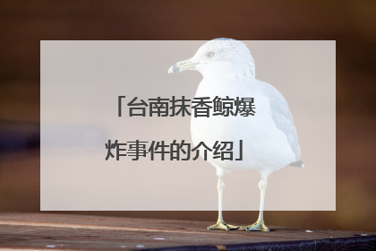 台南抹香鲸爆炸事件的介绍