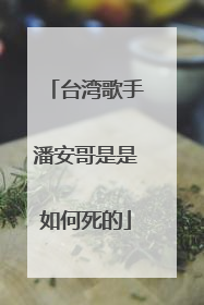台湾歌手潘安哥是是如何死的