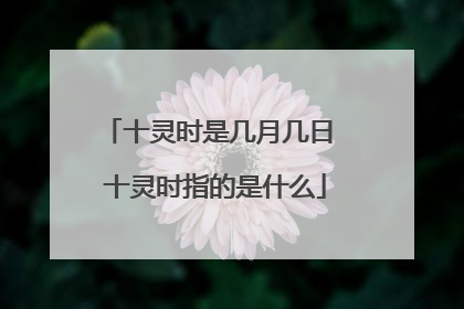 十灵时是几月几日 十灵时指的是什么