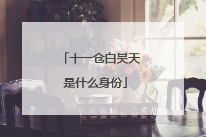 十一仓白昊天是什么身份