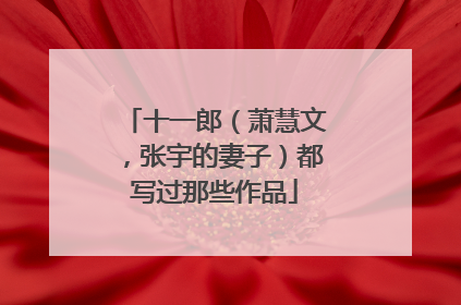 十一郎(萧慧文,张宇的妻子)都写过那些作品