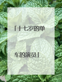 十七岁的单车的演员