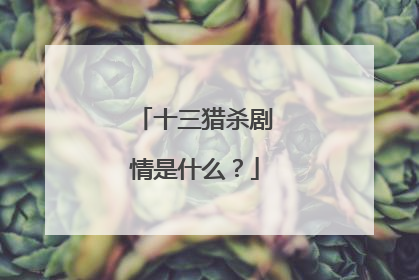 十三猎杀剧情是什么?