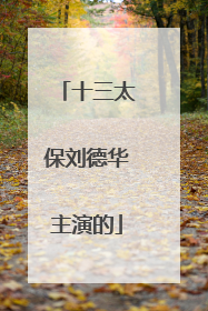 十三太保刘德华主演的