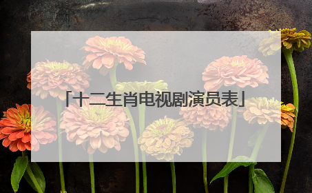 十二生肖电视剧演员表