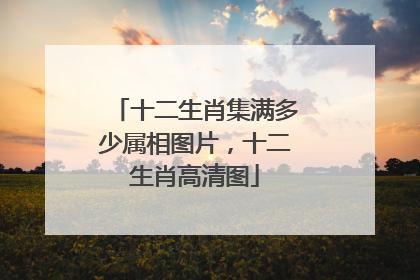 十二生肖集满多少属相图片，十二生肖高清图