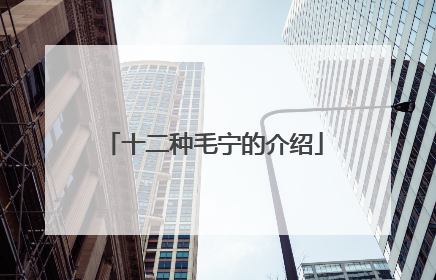 十二种毛宁的介绍