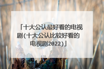 十大公认最好看的电视剧(十大公认比较好看的电视剧2022)