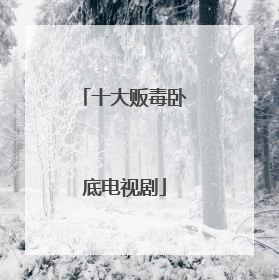 十大贩毒卧底电视剧