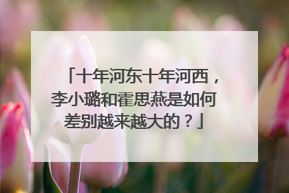 十年河东十年河西，李小璐和霍思燕是如何差别越来越大的？
