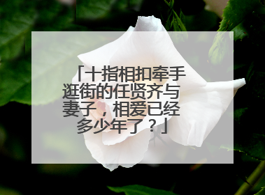 十指相扣牵手逛街的任贤齐与妻子，相爱已经多少年了？