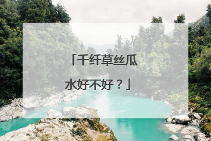 千纤草丝瓜水好不好?