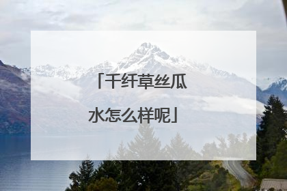 千纤草丝瓜水怎么样呢