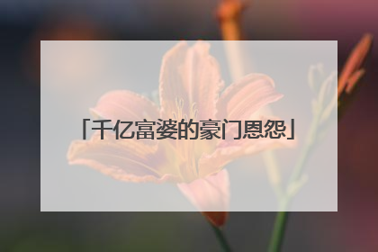 千亿富婆的豪门恩怨