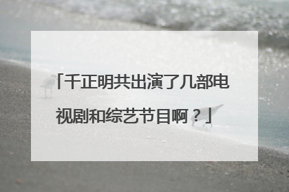 千正明共出演了几部电视剧和综艺节目啊?