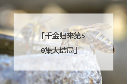 千金归来第50集大结局