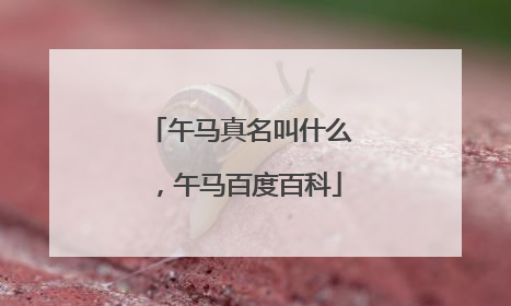 午马真名叫什么,午马百度百科