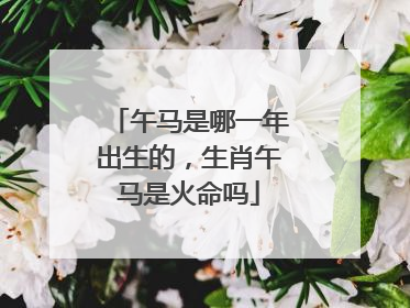 午马是哪一年出生的,生肖午马是火命吗