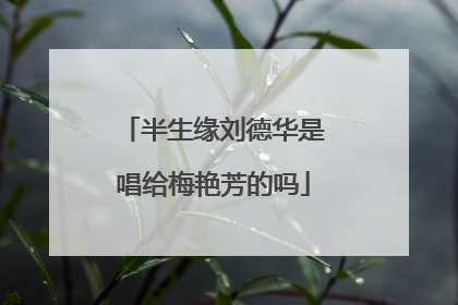 半生缘刘德华是唱给梅艳芳的吗