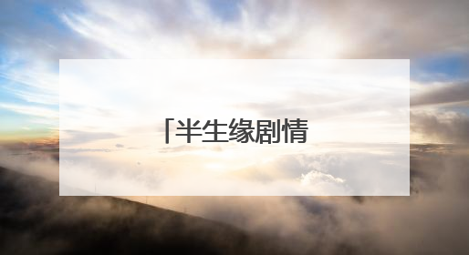 半生缘剧情介绍分集